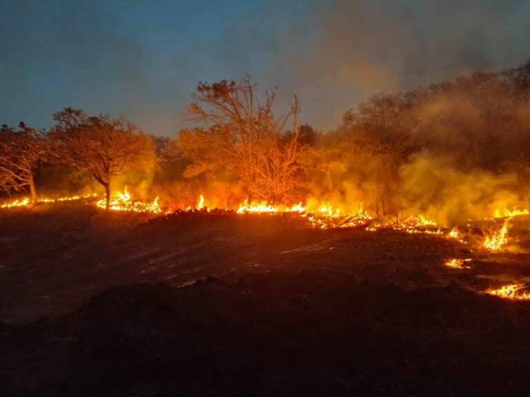 Provocan incendio en basurero de Moyahua