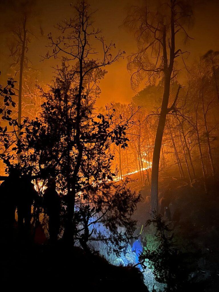 Mueren 3 personas por incendio forestal Turquía
