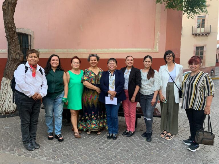 Amañan consejo consultivo de DH