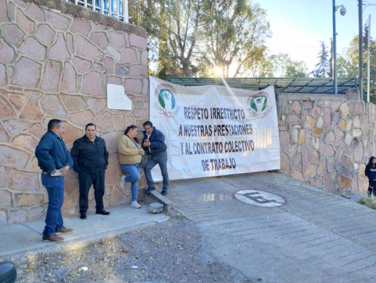 Ilegal, paro en Cobaez: directora