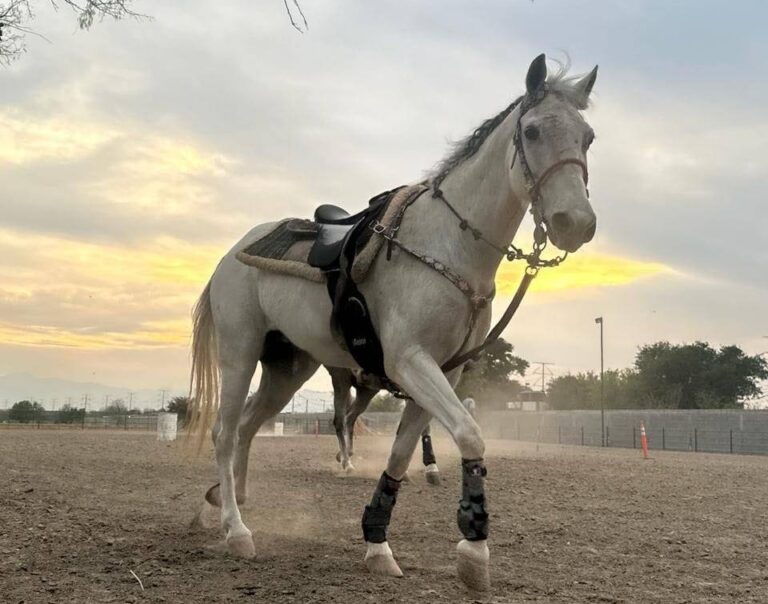 Sufren asalto deportistas en Zacatecas