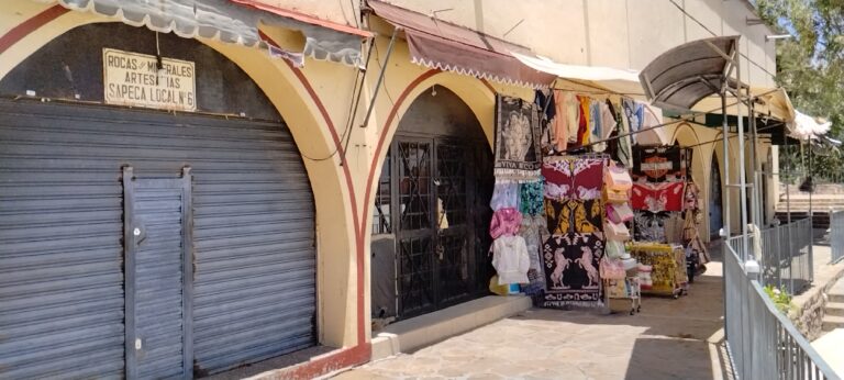Afectan a negocios las bajas ventas