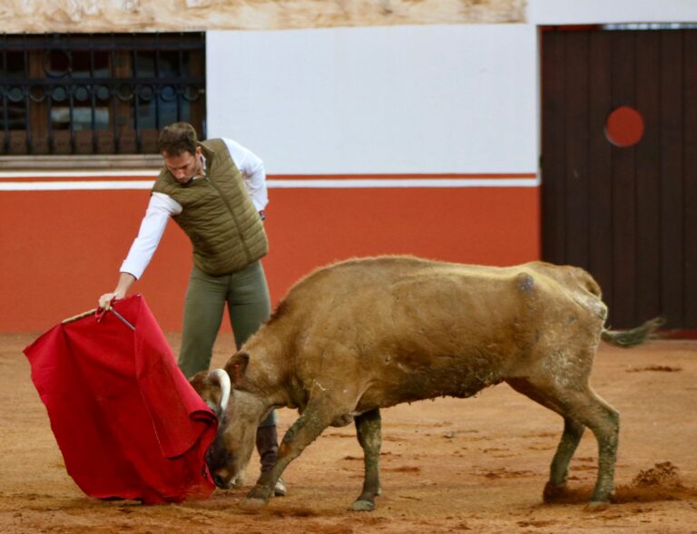 Tienta en la ganadería de Pedro Haces