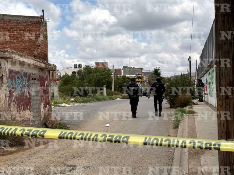 Hallan cuerpo descuartizado en un lote baldío