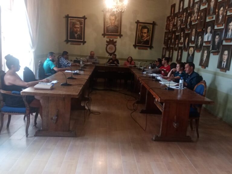 Sancionan a empresa por talar árboles sin autorización