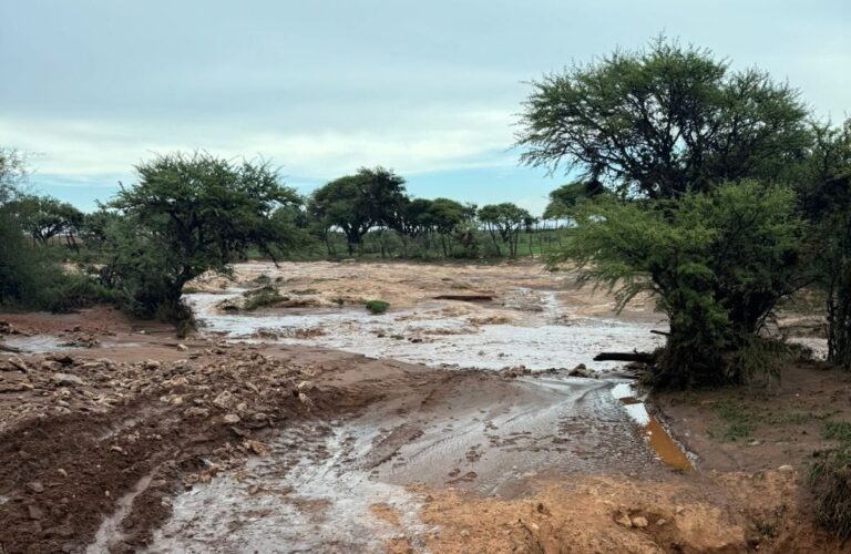 Afecta tormenta carreteras y siembra en Sombrerete