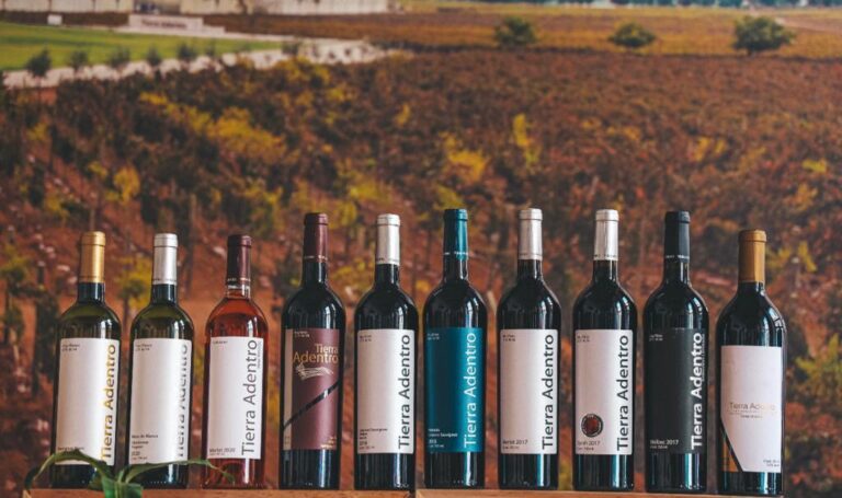 Anuncian la muestra colectiva Vino y Rosas
