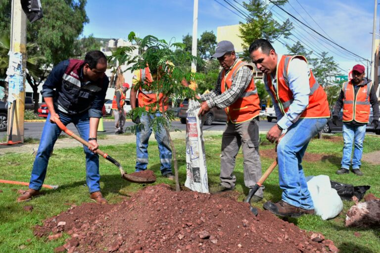 Realizan trabajos de limpieza en calles de Guadalupe