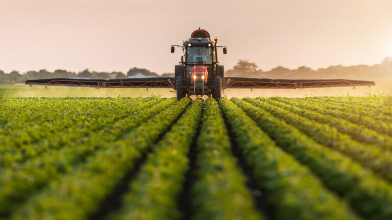 Siembran 70% de superficie agrícola