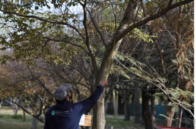 Azotan plagas a Monte Escobedo