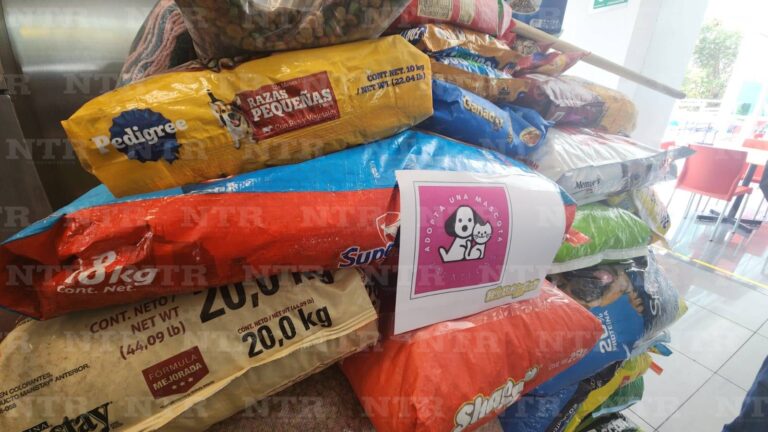Concluye UVC campaña Huellitas Fest con 300% de éxito
