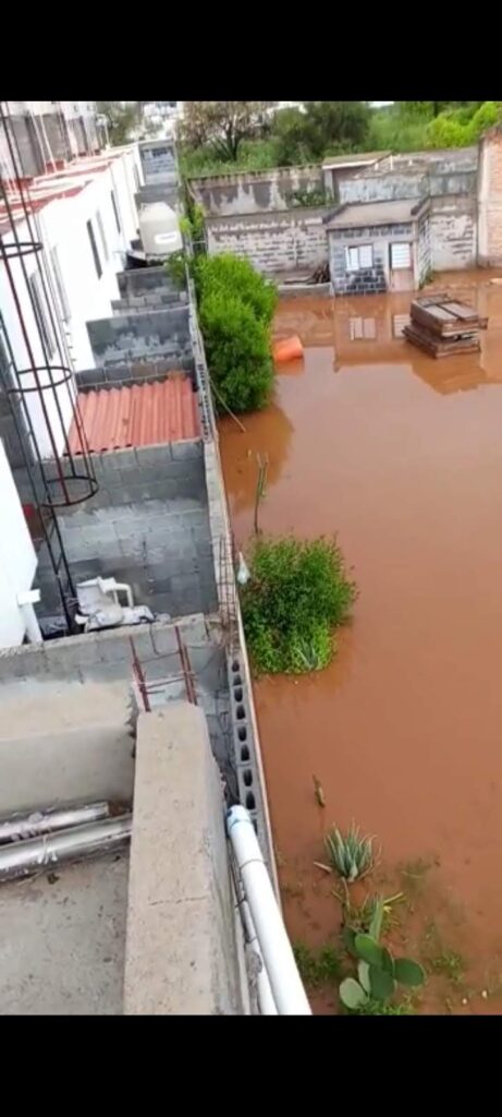 Humedad, plagas y robos por predio abandonado
