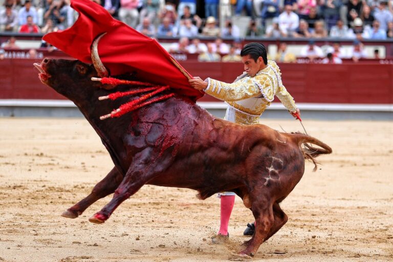 El Calita se mantiene en la cima