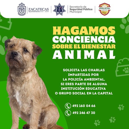 Imparten charlas para prevenir maltrato animal