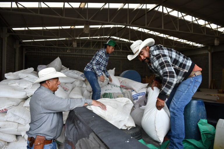 Otorgan semilla de avena a agricultores de Valparaíso