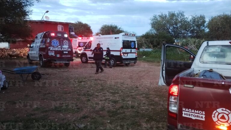 Quince personas y algunos animales sufren picaduras de abeja en La Zacatecana