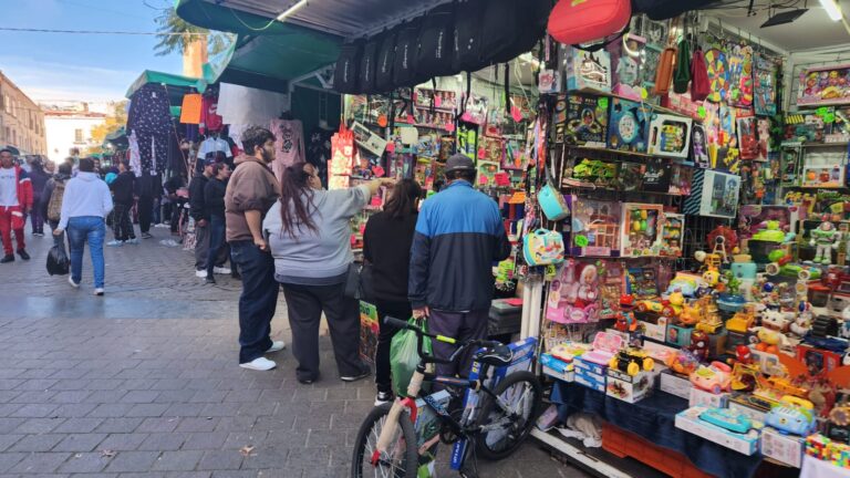 Denuncian un robo al día en locales del Centro