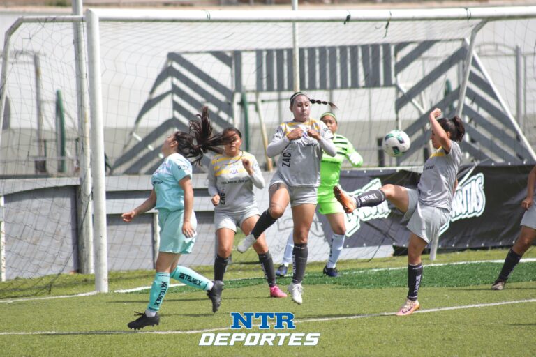El Mineral gana la Copa Telmex