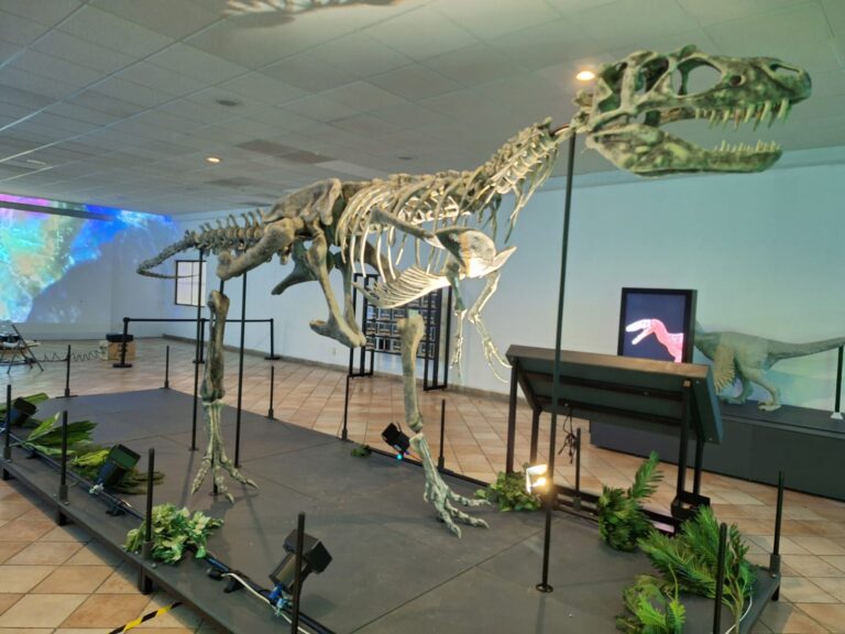 ¡Llegan los dinosaurios a la Fenaza!