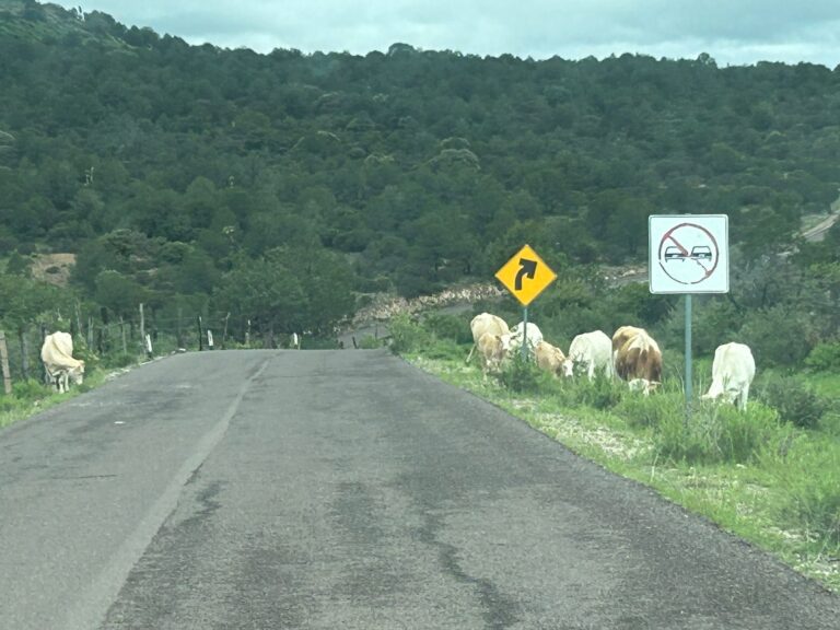 Poco a poco retoman su vida desplazados de Jerez