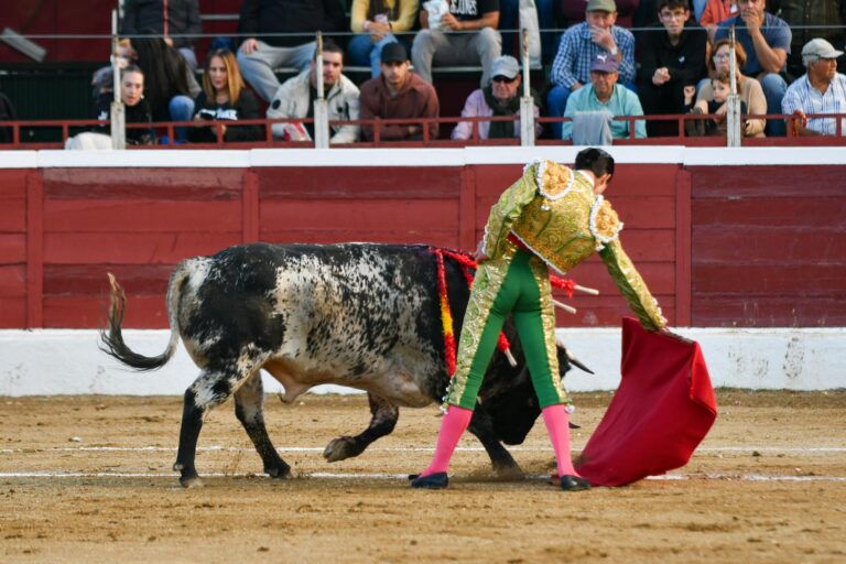 Bruno corta una oreja en Guadarrama
