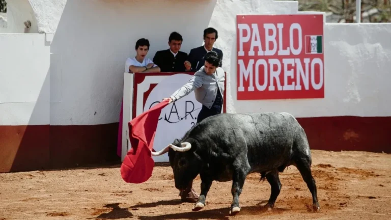 Ya está disponible Vivir como Torero