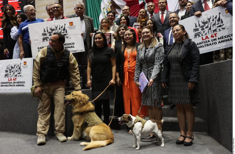 Avalan diputados reforma contra maltrato animal