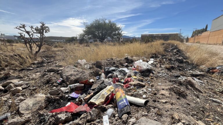 Lotes baldíos, focos de infección en la Plan de Ayala