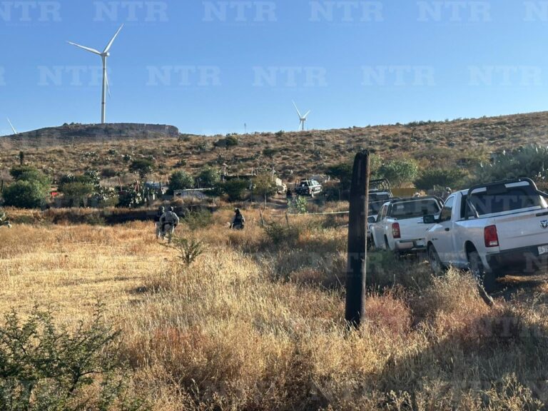 Encuentran cráneo en camino al parque eólico La Bufa