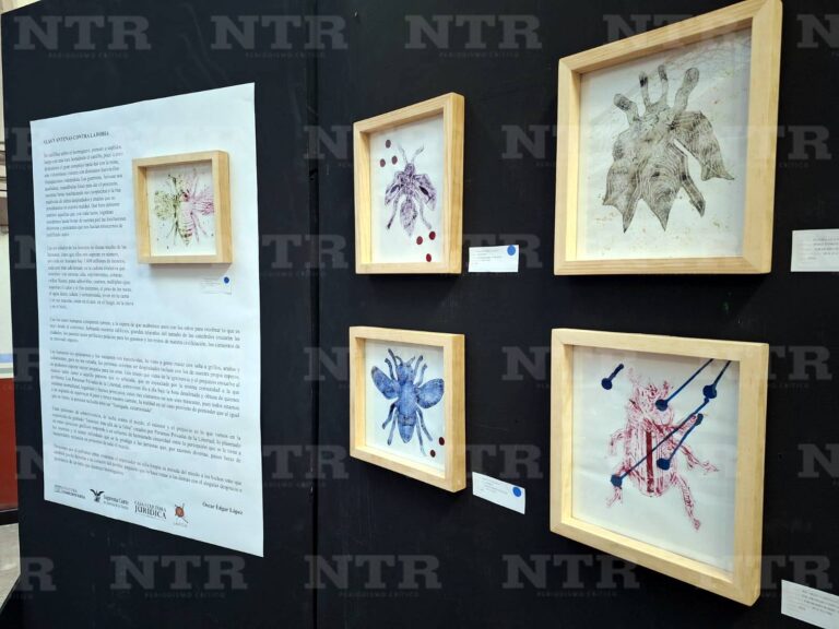 «Insectos, más allá de la fobia», una exposición de PPL