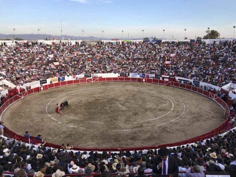León, por todo lo alto