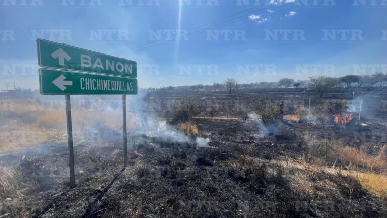 Localizan huesos humanos en Fresnillo