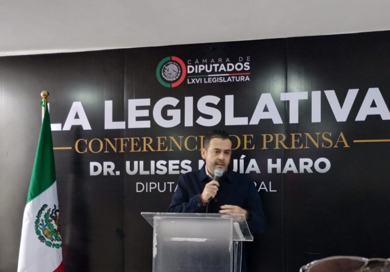 Sin proyectos, “no esperemos más dinero”: Mejía Haro
