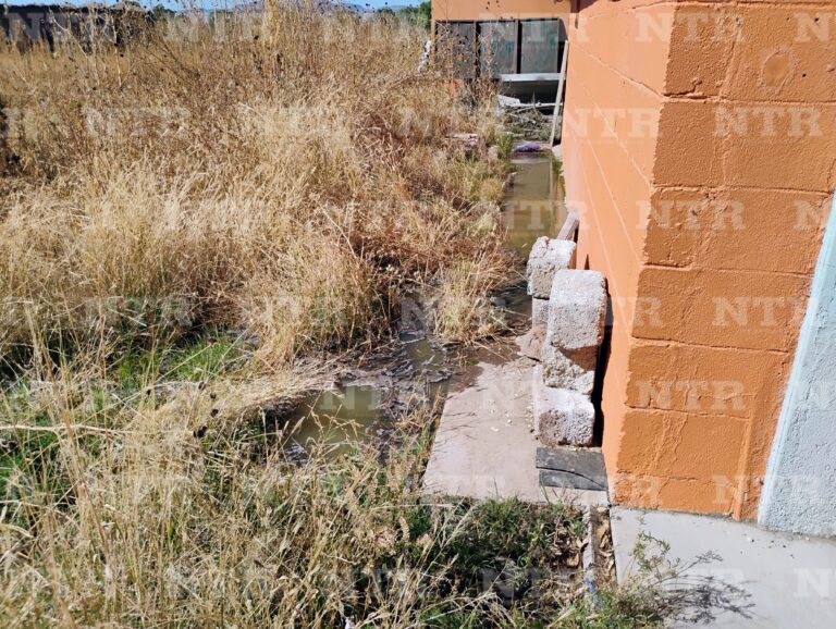 Tras ruptura de drenaje, se filtran aguas negras a salones de escuela