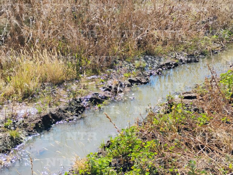 Reparan brote de aguas negras en Sombrerete