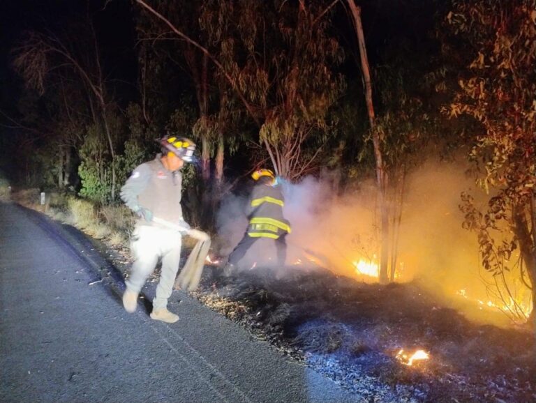 Ubican a responsable de provocar incendios forestales