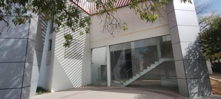 Cineteca, un futuro incierto