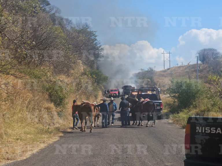 Se incendia vehículo en Apozol