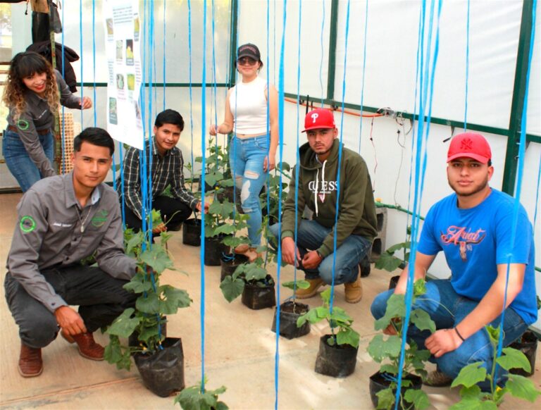 Alumnos de la Utzac desarrollan técnicas para detección de plagas