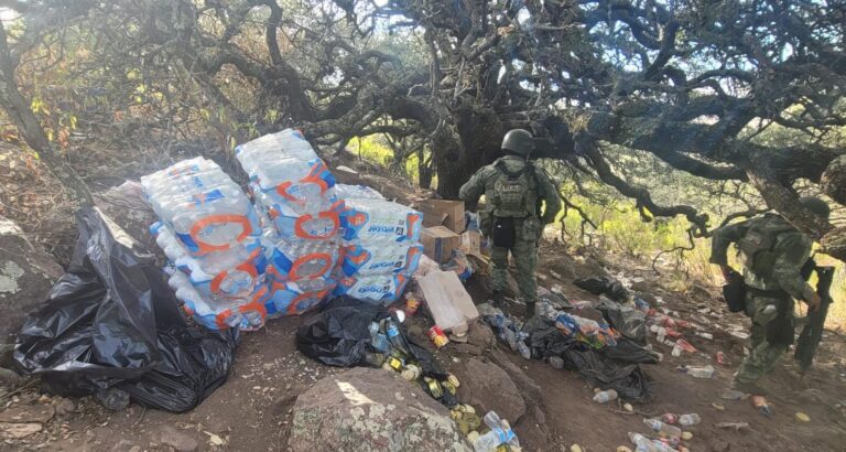 Desmantelan cuatro campamentos delincuenciales en Villanueva