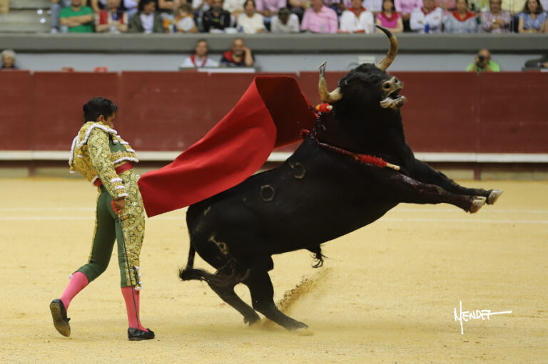 Joselito Adame lanza concurso
