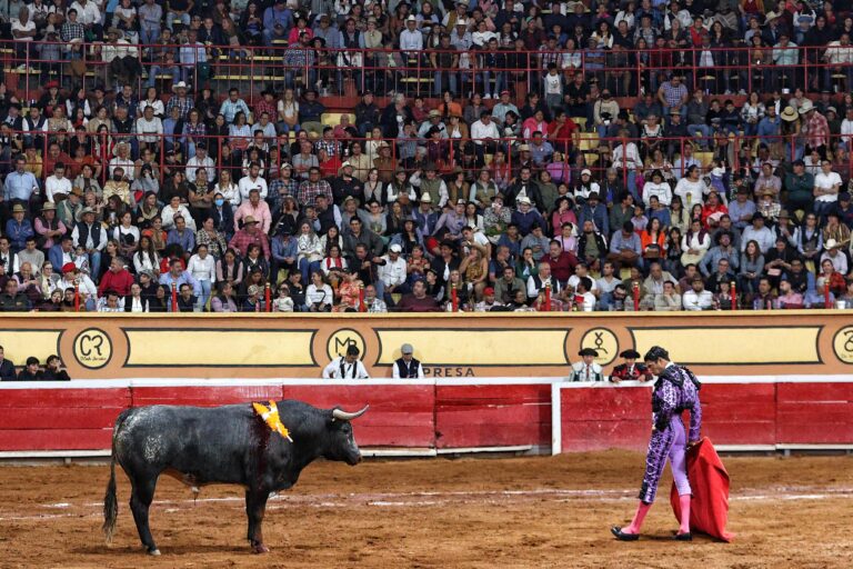 Confirman actuación de Flores en la Monumental de Mérida