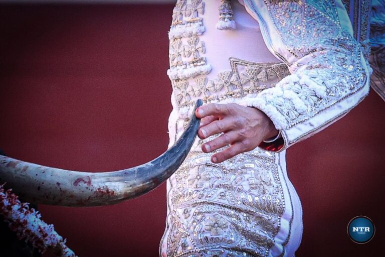 Generan gran expectativa los toros de Enrique Fraga