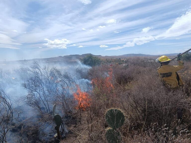 Se registra incendio cerca de la Unidad Deportiva Norte