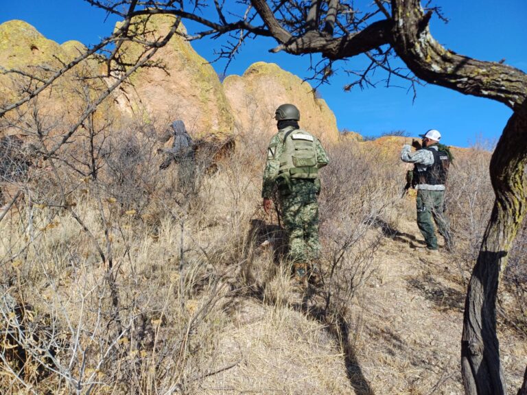 Realizan búsqueda e investigación en Fresnillo y Francisco R. Murguía