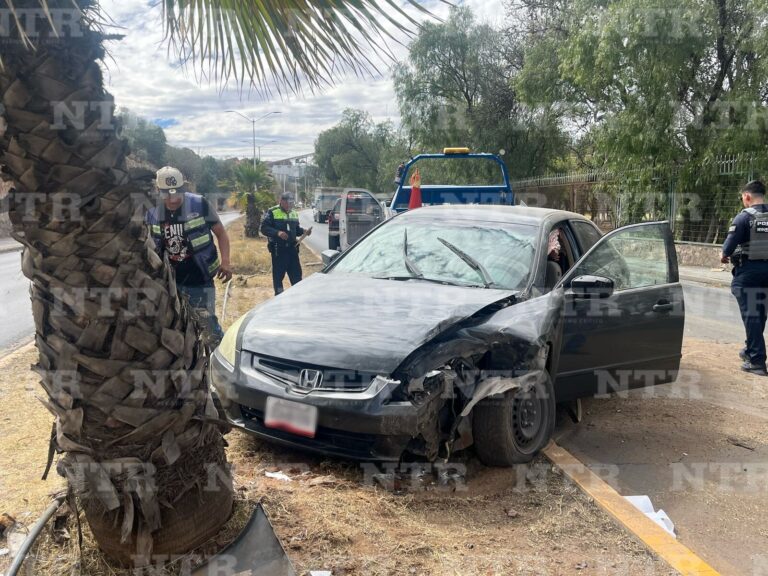 Se impacta auto contra palmera