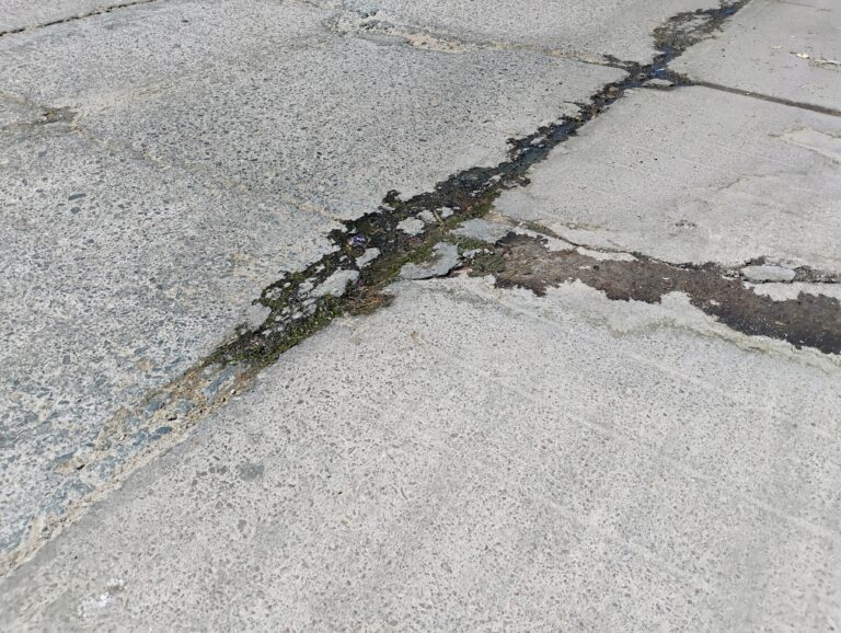 Denuncian filtraciones de aguas negras en Jerez