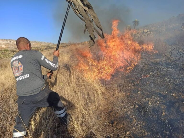 Sofocan incendio de 70 hectáreas de maleza