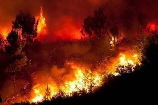 Voraz incendio en Villa González Ortega; piden ayuda para sofocarlo
