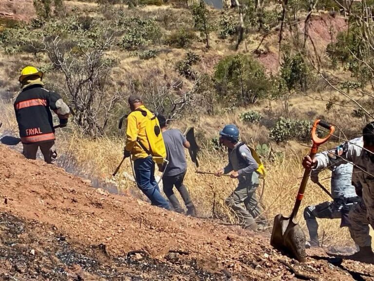 Atiende PC 136 incendios forestales